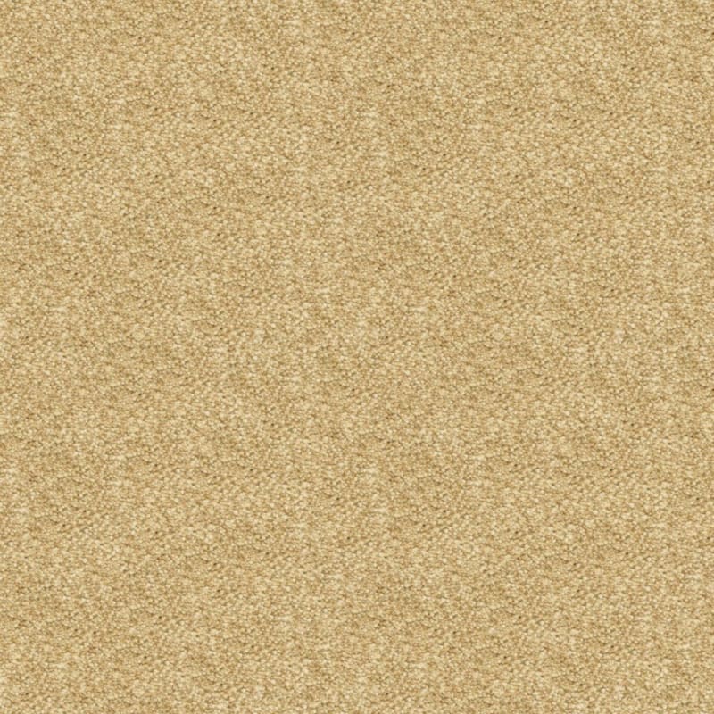 Staccato carpet by Masland