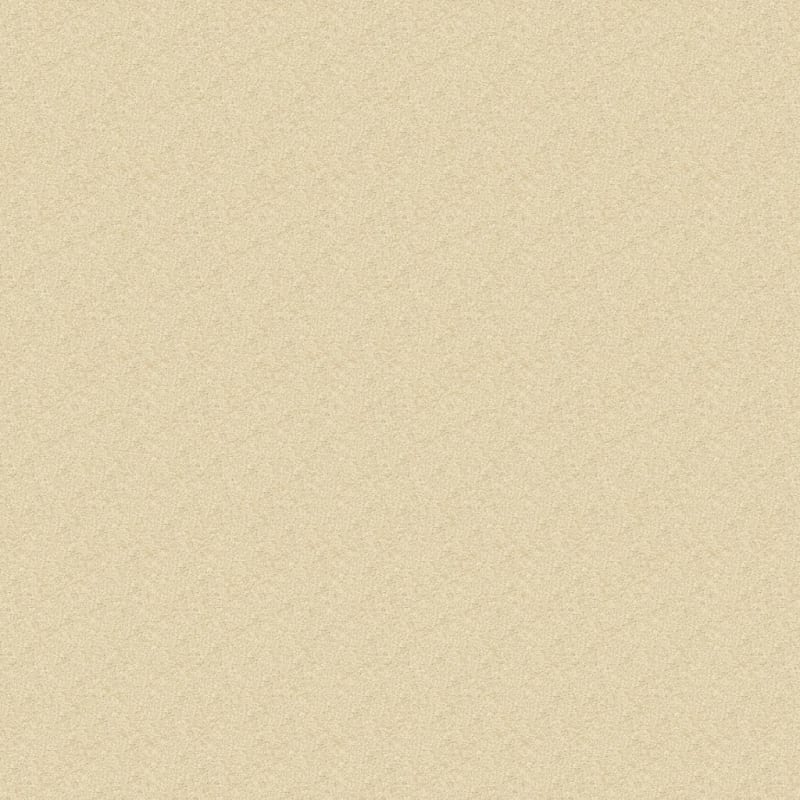 Morgan Bay carpet by Masland