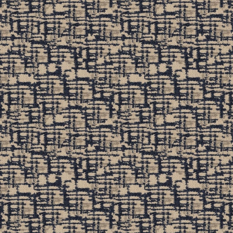 Censor carpet by Masland