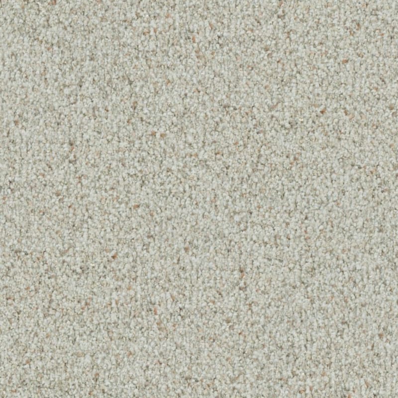 St. Augustine carpet by Masland