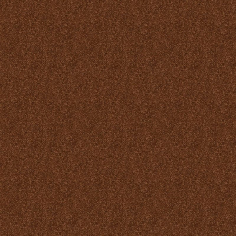 Embrace carpet by Masland
