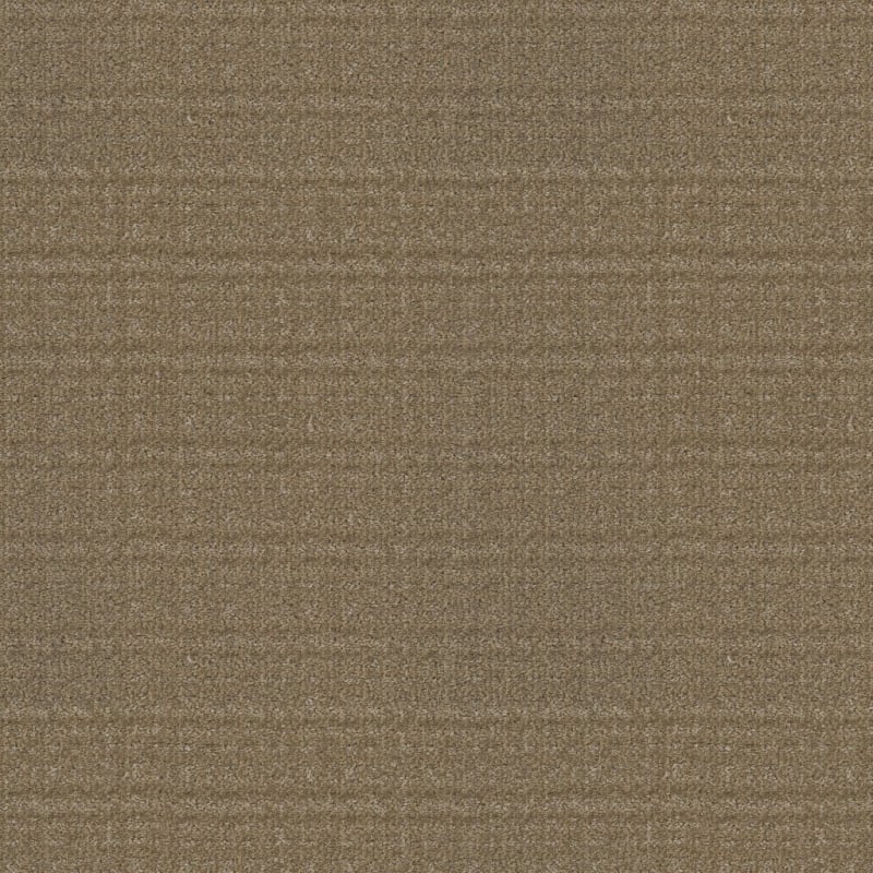 Purebred carpet by Masland
