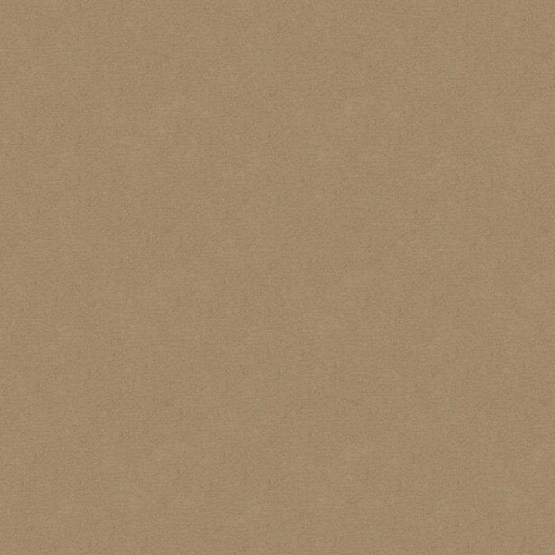 Silk Touch carpet by Masland