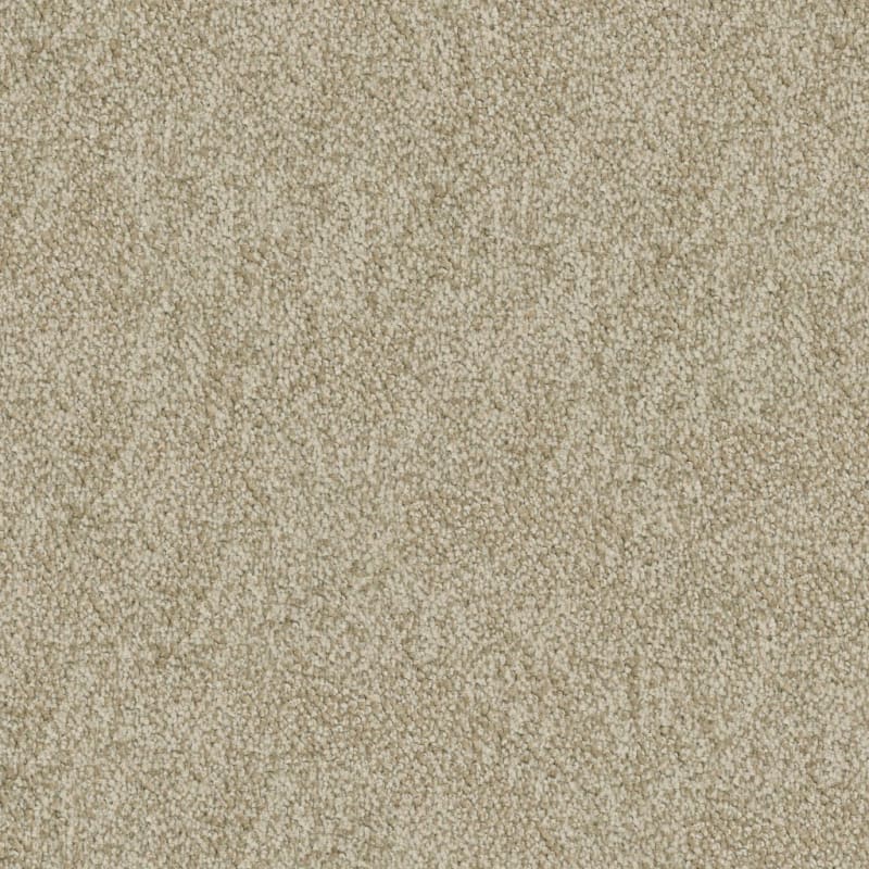 Buena Vida carpet by Masland
