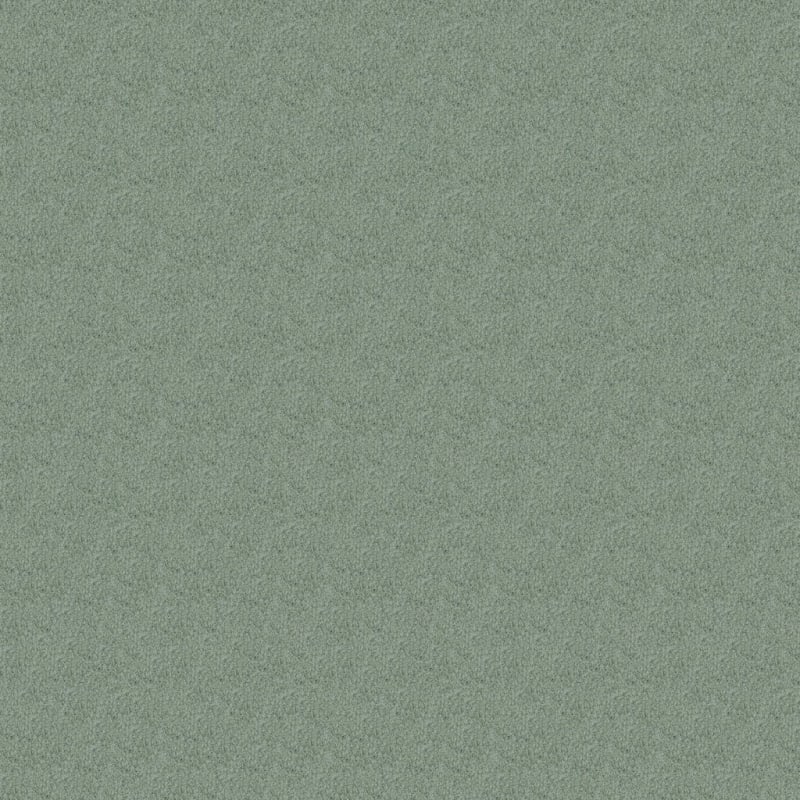 Miami carpet by Masland
