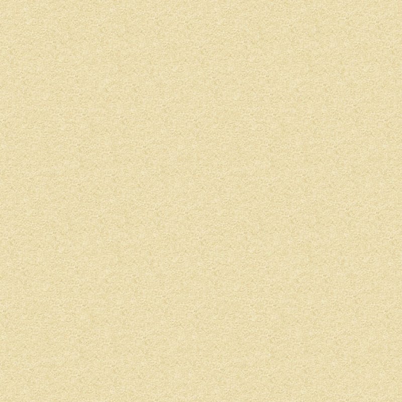 Vero Beach carpet by Masland