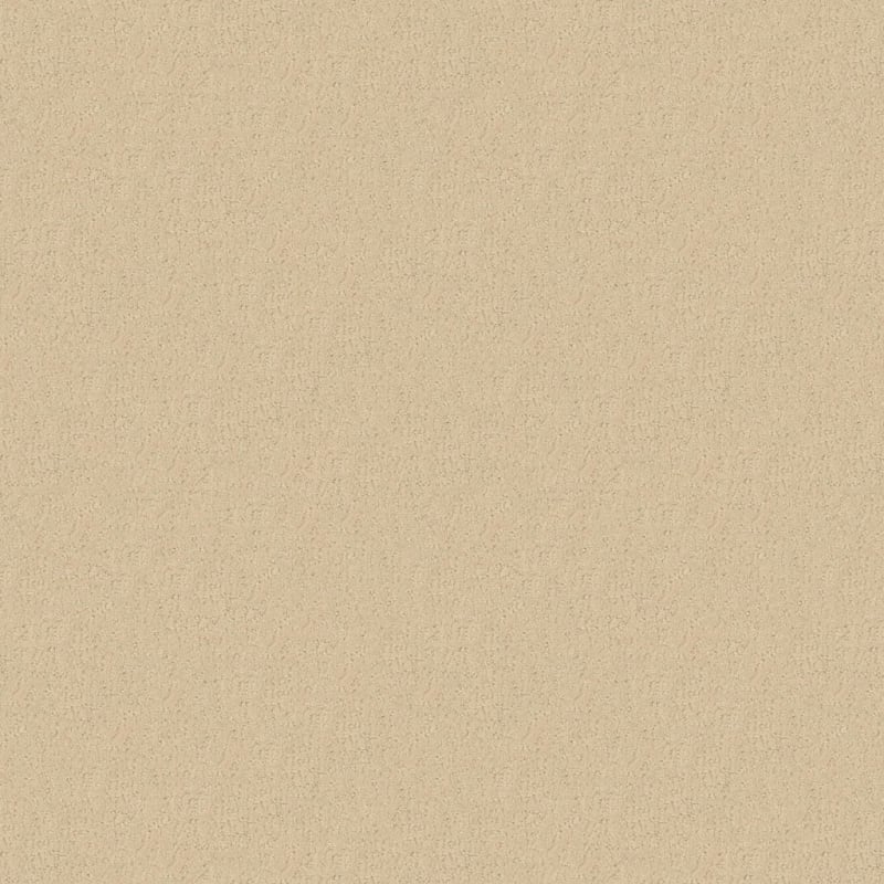 Matisse carpet by Masland