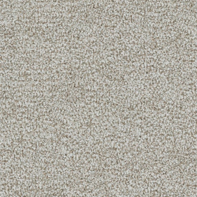 St. Augustine carpet by Masland