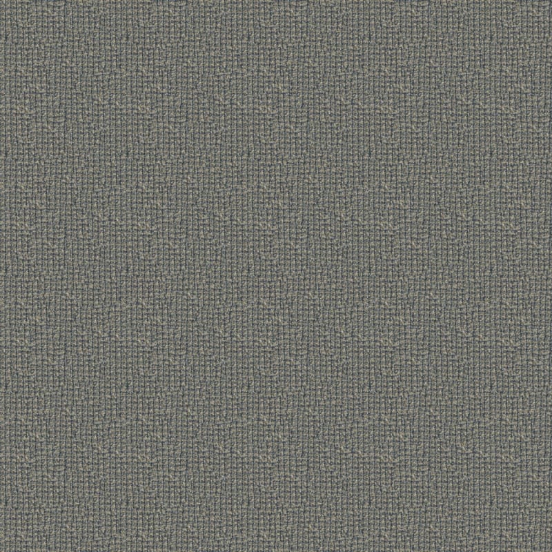 Alpha carpet by Masland
