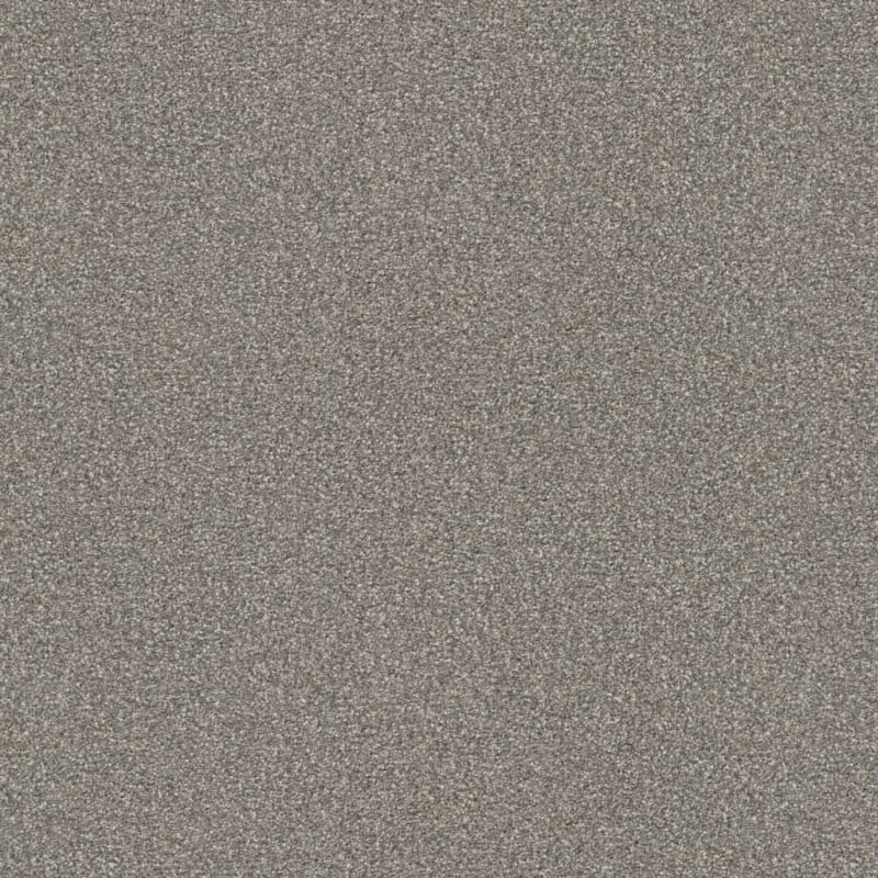 Tracker carpet by Masland