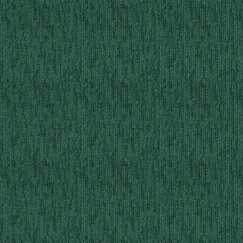 Mesa Bella carpet by Masland