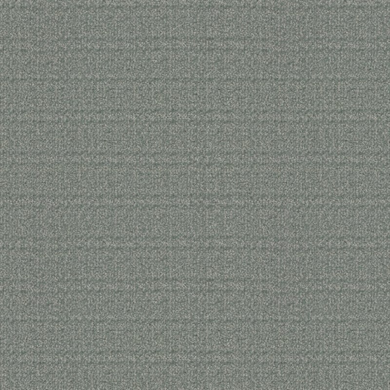 Purebred carpet by Masland
