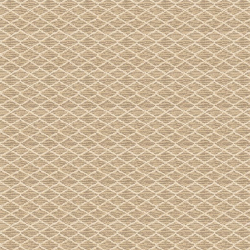 Mantra carpet by Masland