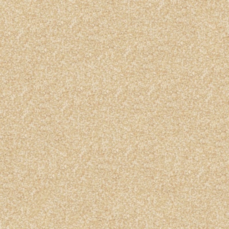 Beacon Hill carpet by Masland