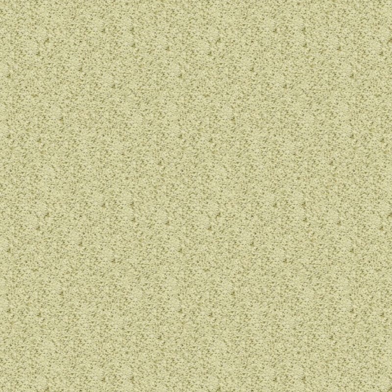 Sea Grass carpet by Masland