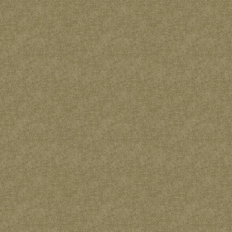 Embrace carpet by Masland