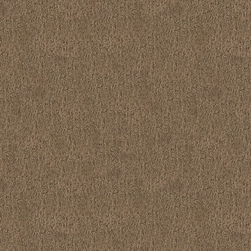 Santa Barbara carpet by Masland