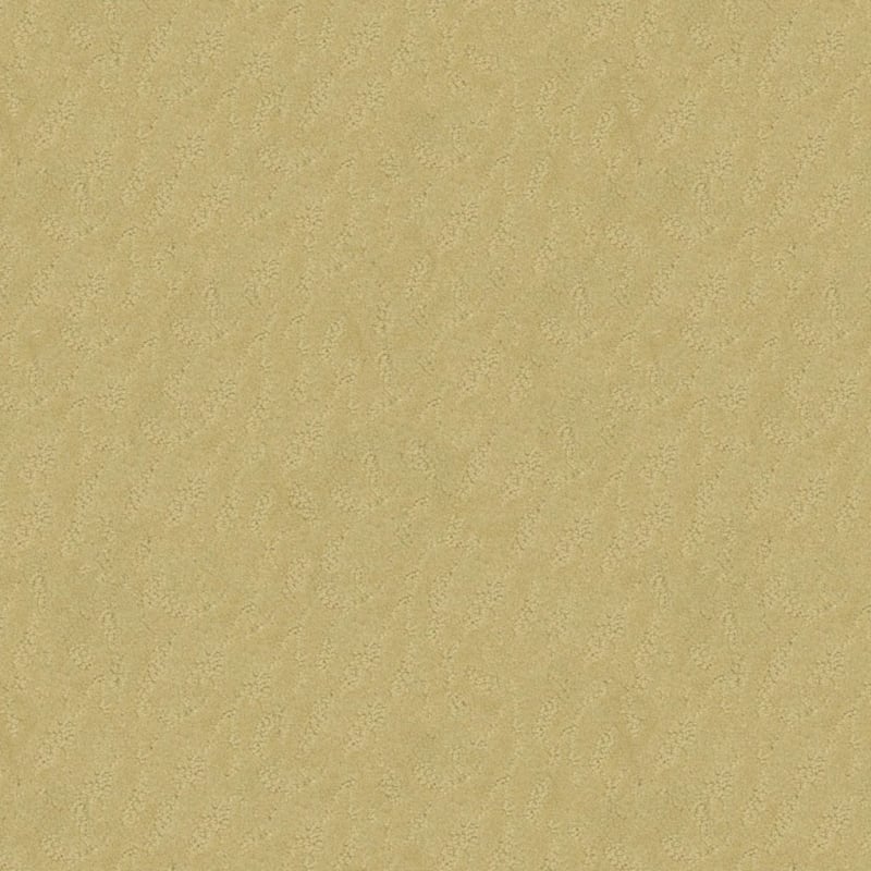 True Luxury carpet by Masland