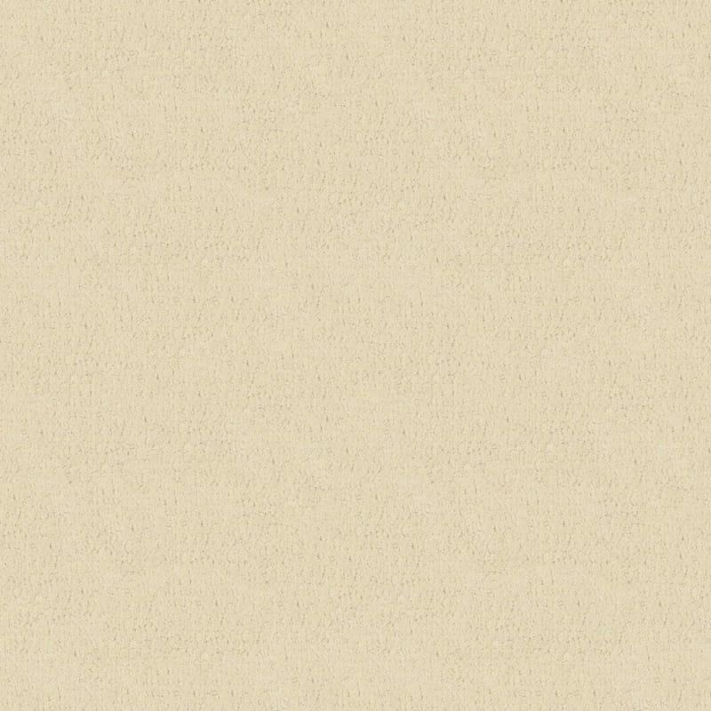 Matisse carpet by Masland