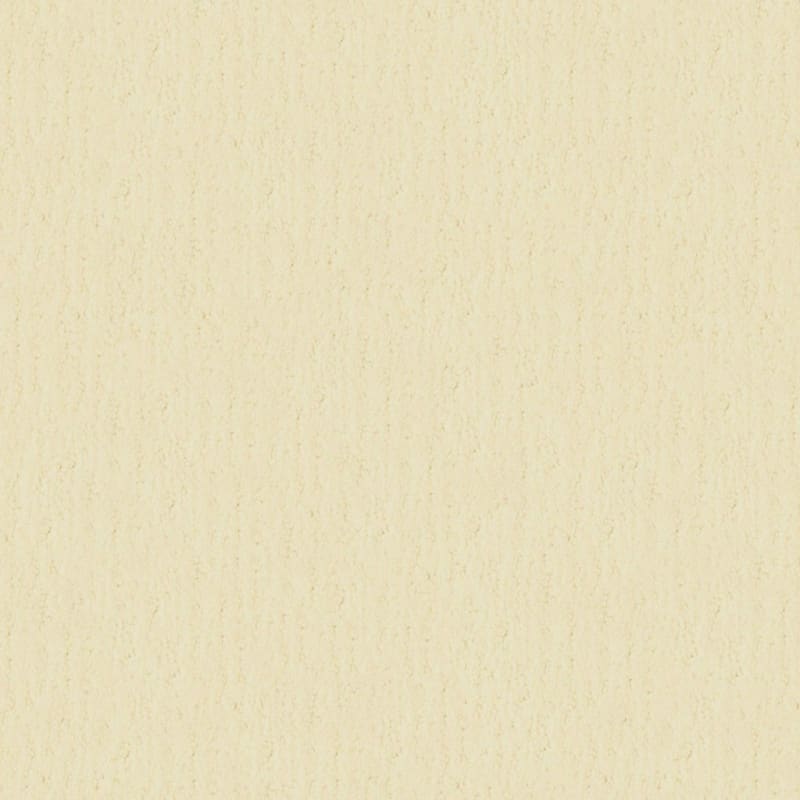 Santa Barbara carpet by Masland