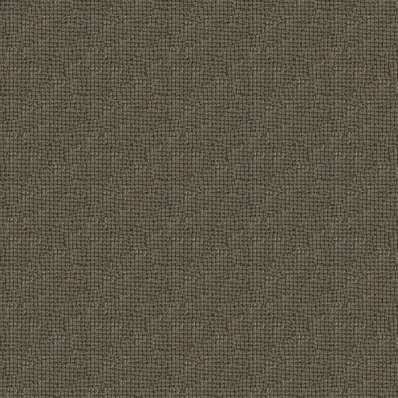Alpha carpet by Masland
