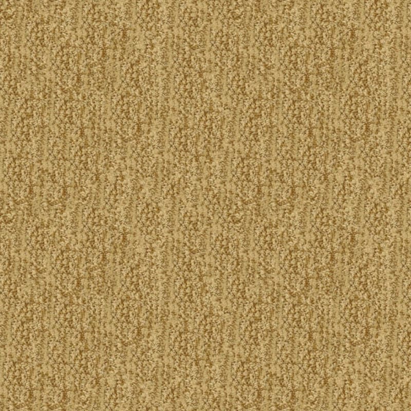 Mesa Verde carpet by Masland