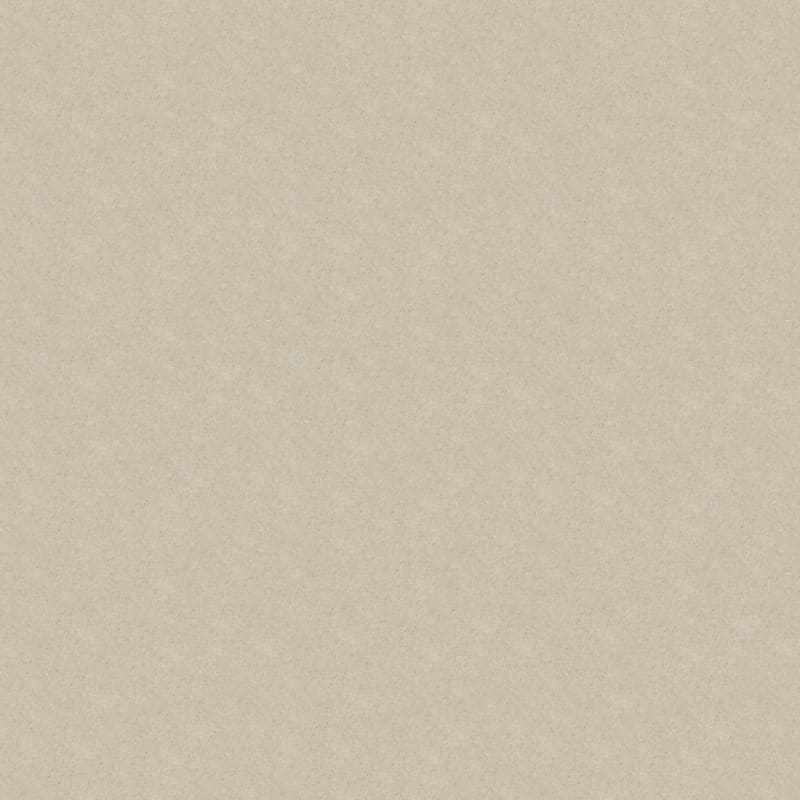 Embrace carpet by Masland