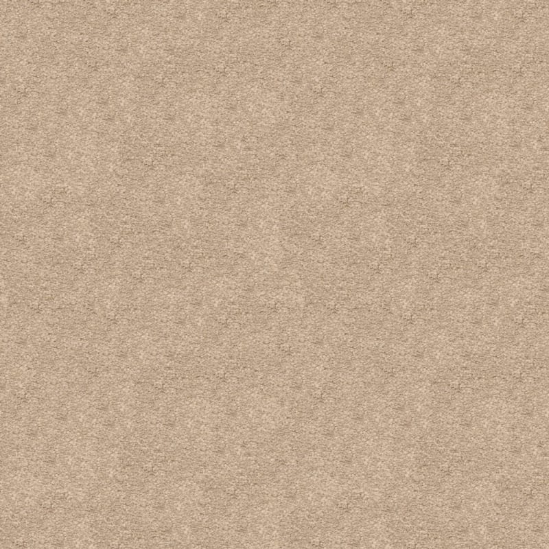 Knockout carpet by Masland