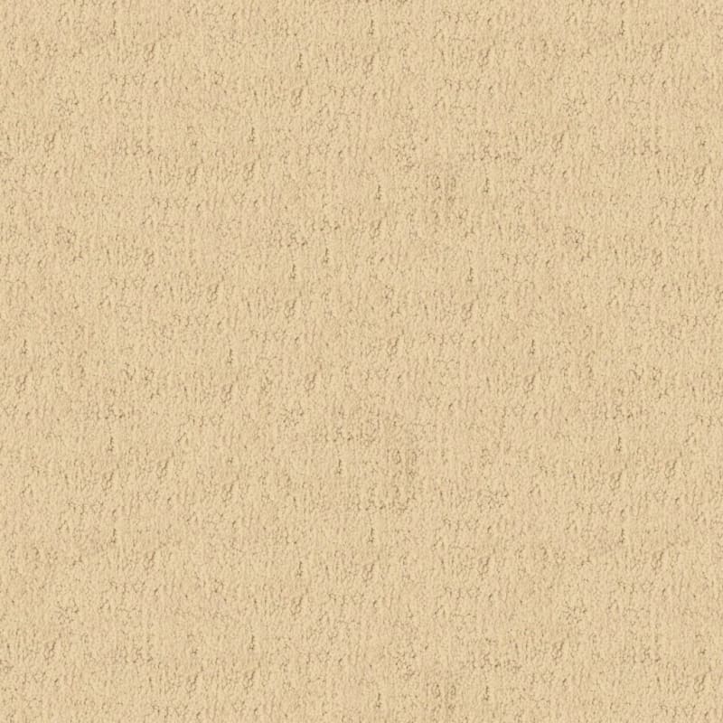Santa Barbara carpet by Masland