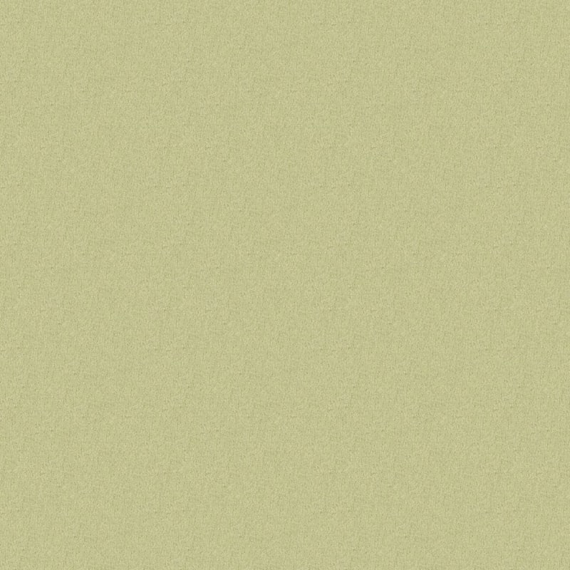 Key West carpet by Masland