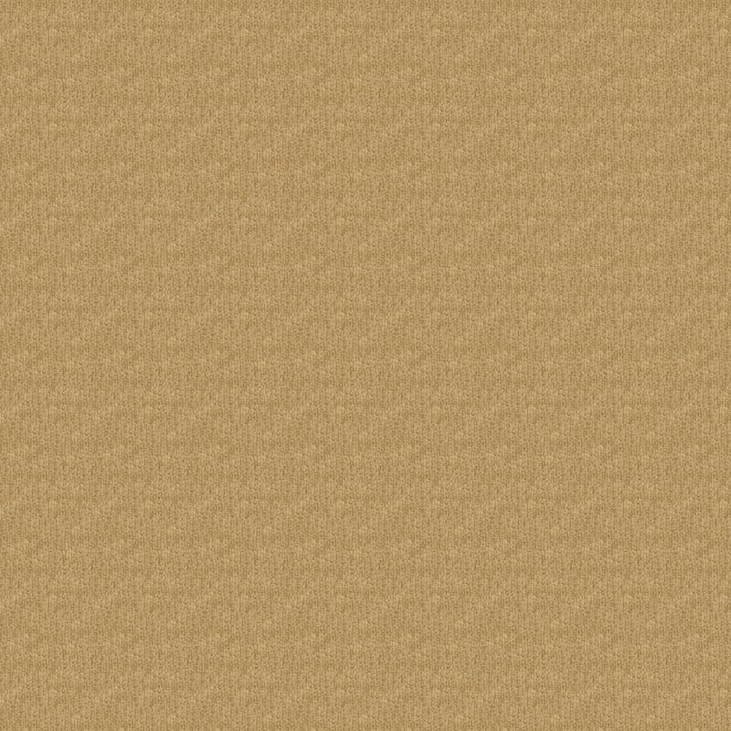 Casa Grande carpet by Masland