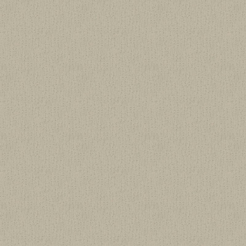 Nature'S Essence carpet by Masland