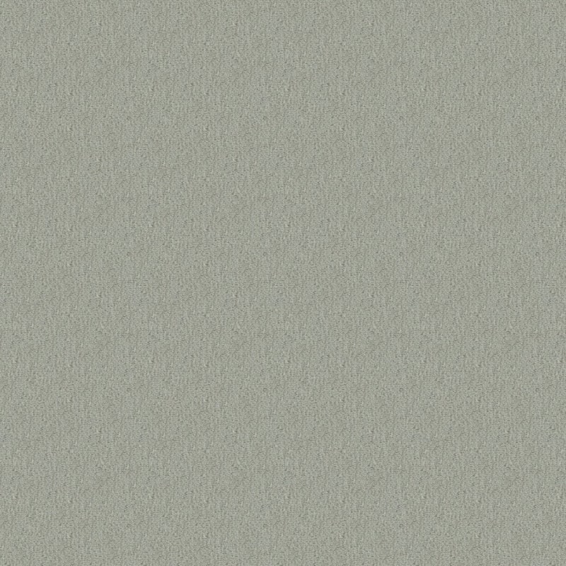 Panache carpet by Masland