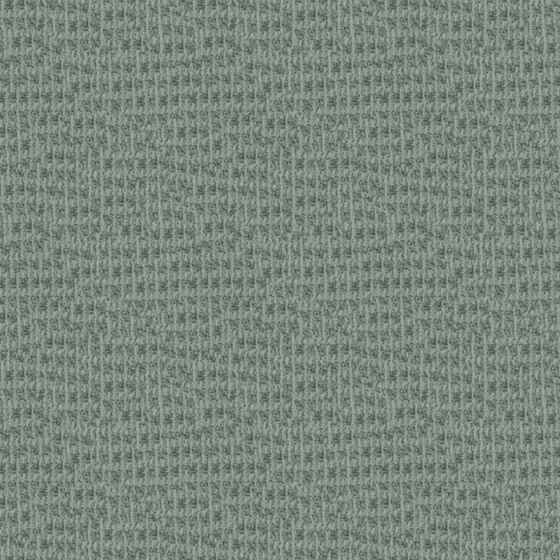 Hudson Valley carpet by Masland
