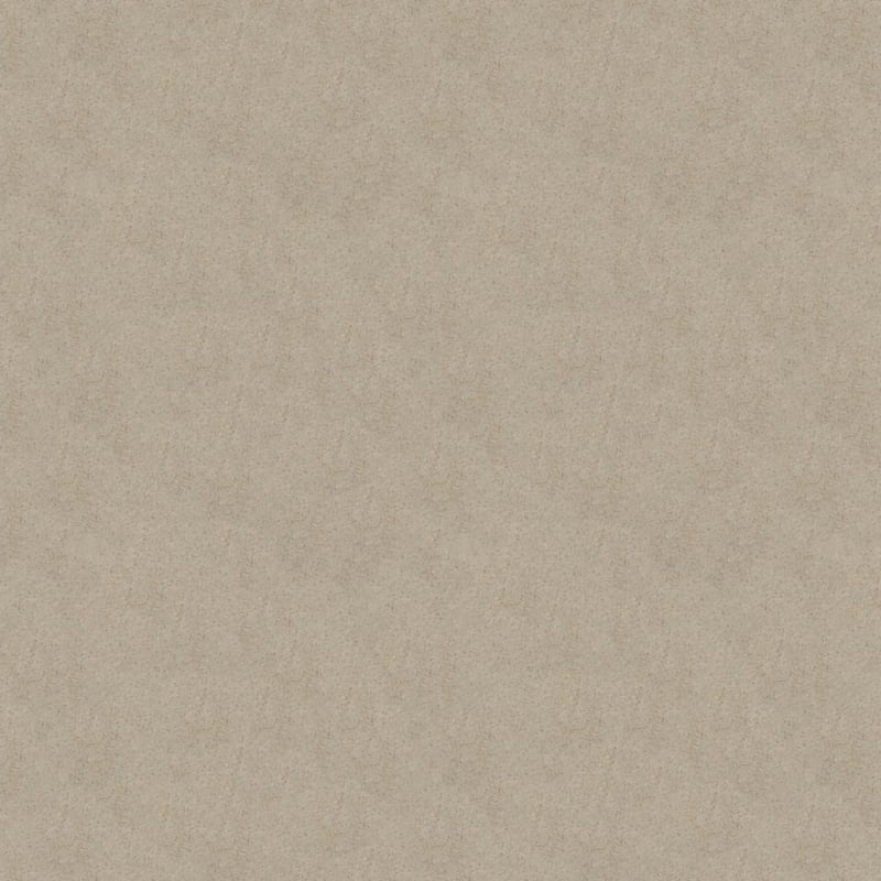 Embrace carpet by Masland