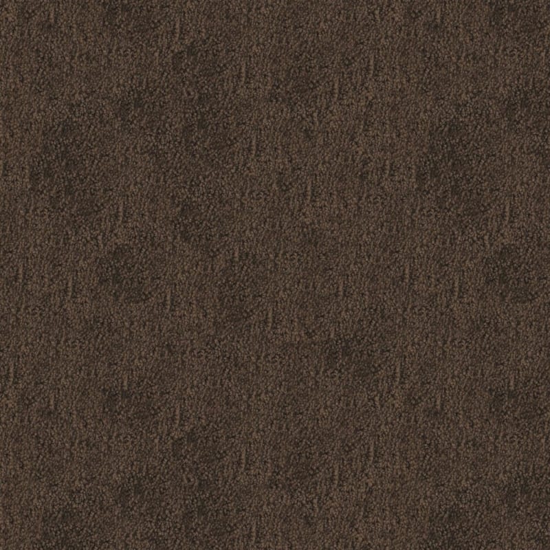 Santa Barbara carpet by Masland
