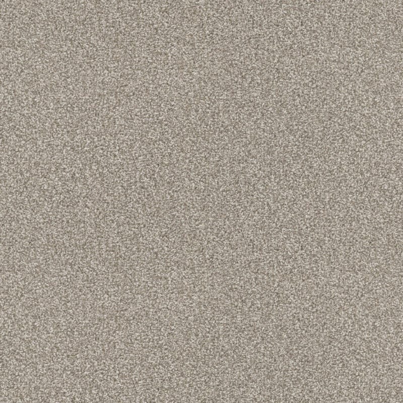Tracker carpet by Masland