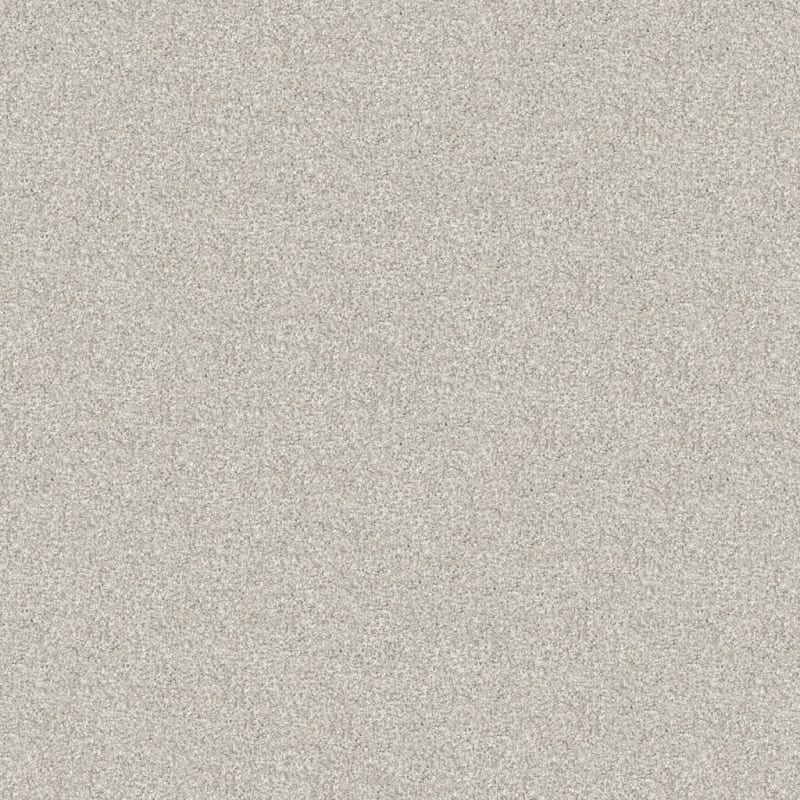 Tracker carpet by Masland