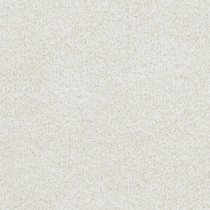 St. Augustine carpet by Masland