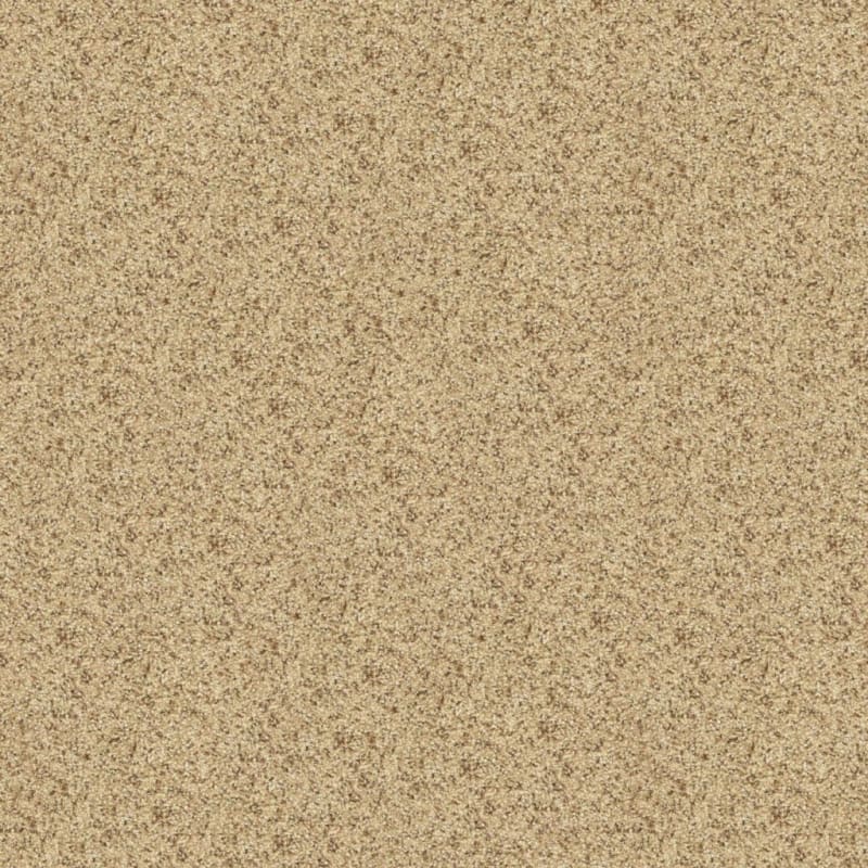 This And That carpet by Masland