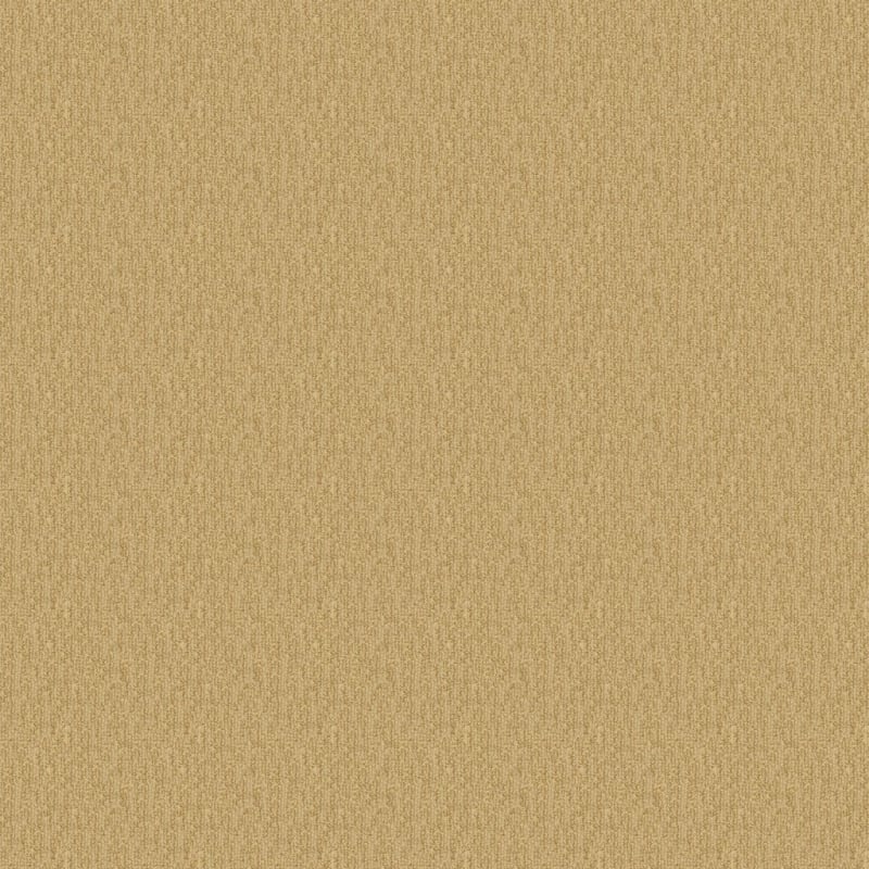 Casa Grande carpet by Masland