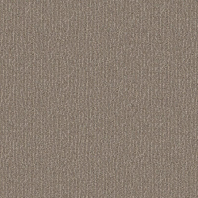 Style Sense carpet by Masland