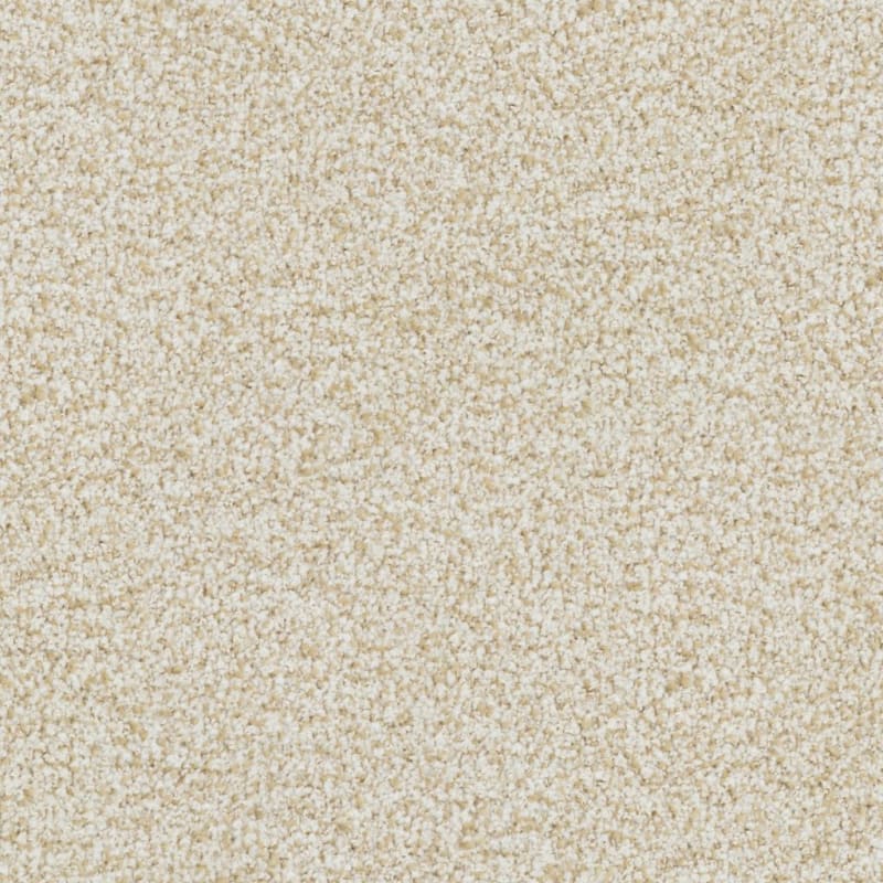 St. Augustine carpet by Masland