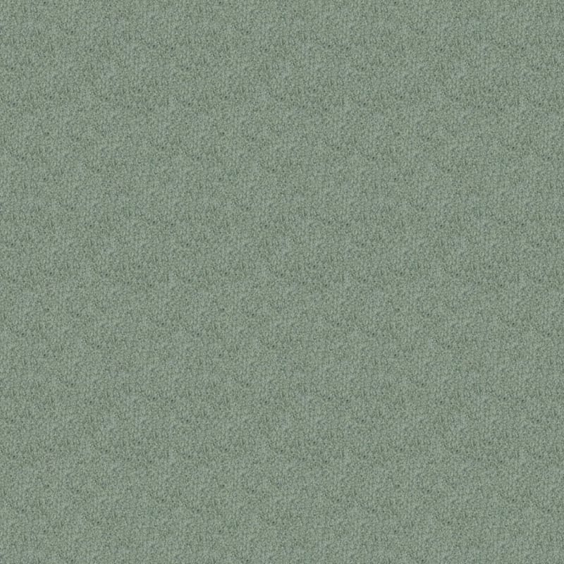 Oceanside carpet by Masland