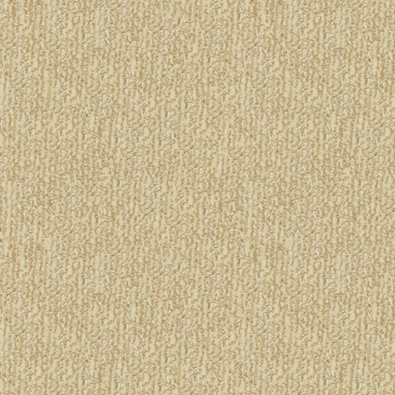 Mesa Verde carpet by Masland