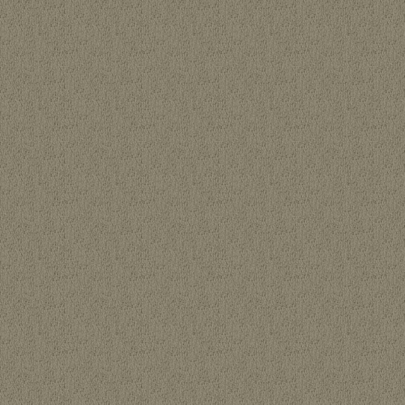 Novellino carpet by Masland