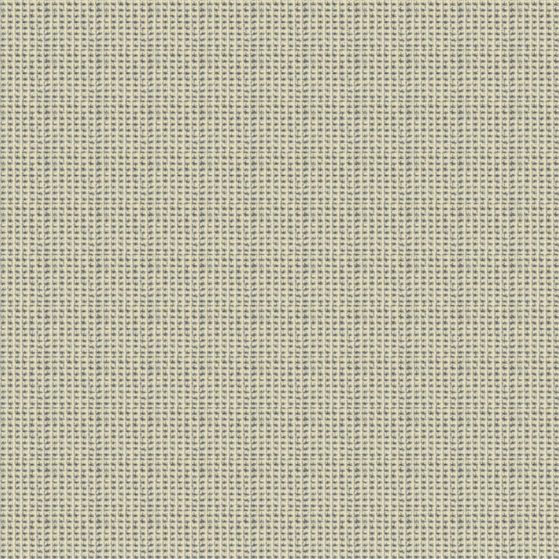 Tresor II carpet by Masland