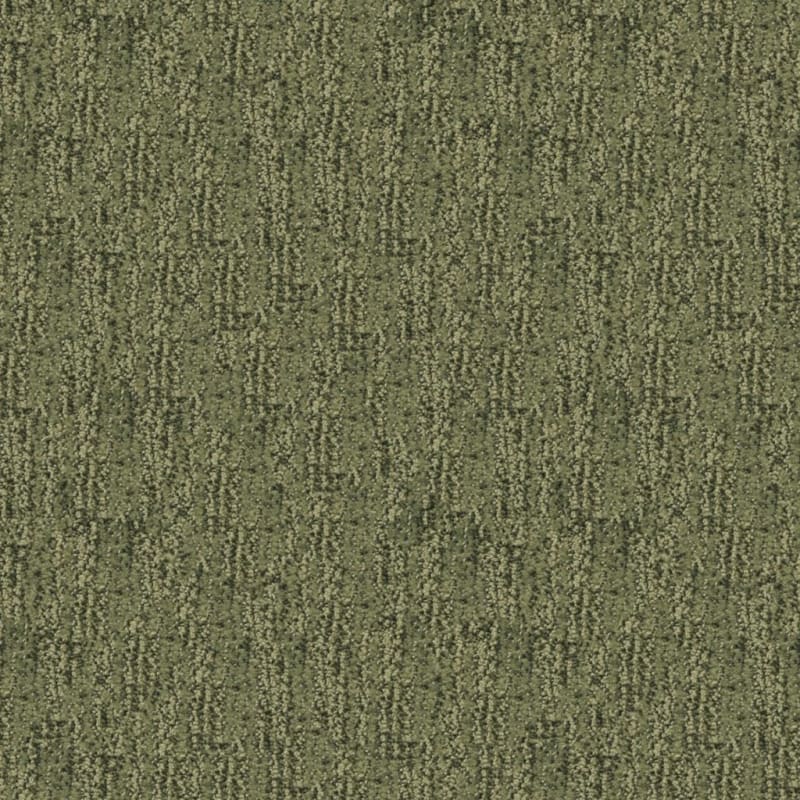 Mesa Verde carpet by Masland