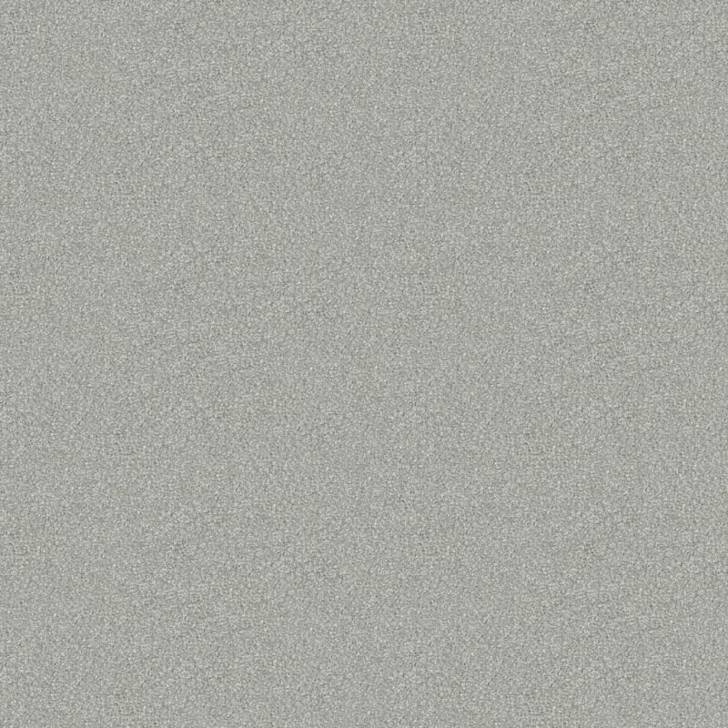 Hunter carpet by Masland