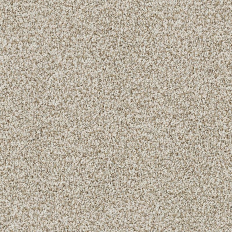St. Augustine carpet by Masland